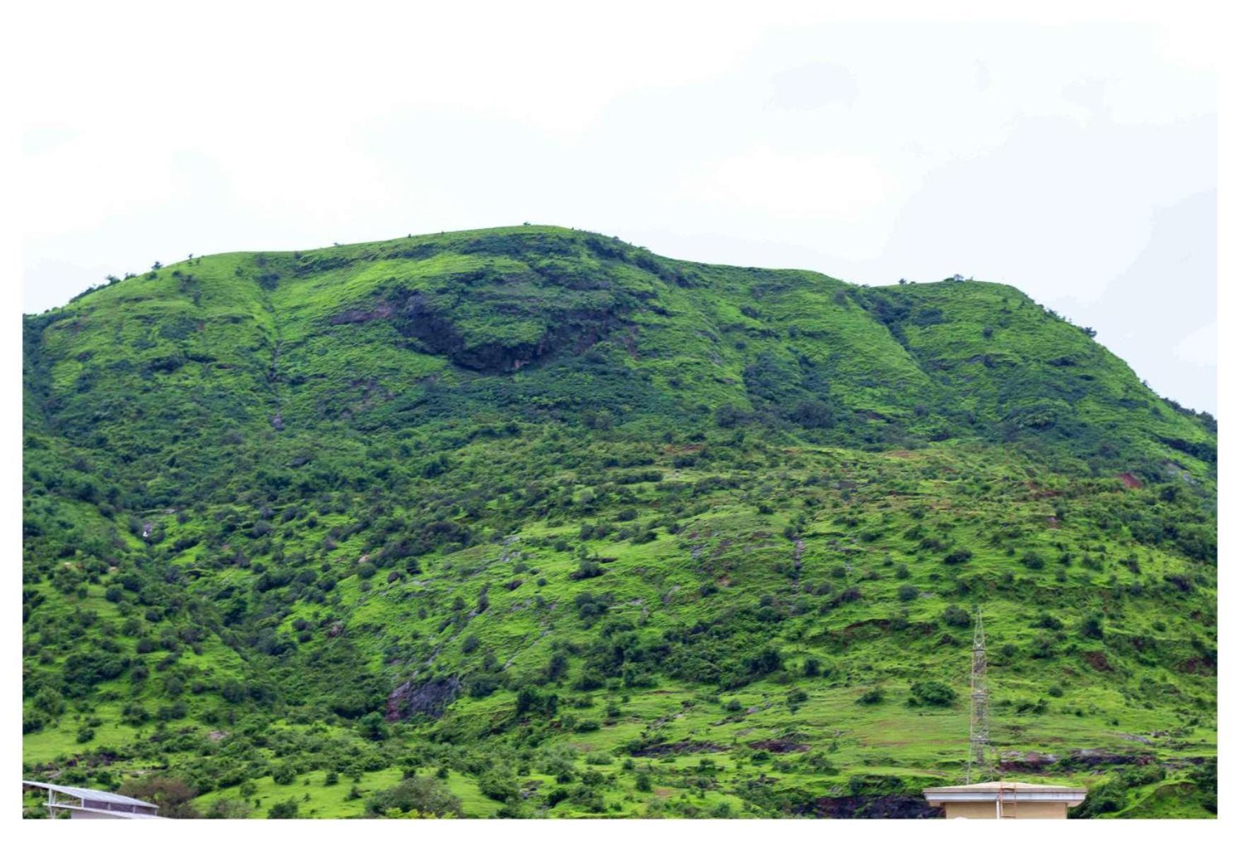 Salt Life Villa Lonavala Eksteriør billede